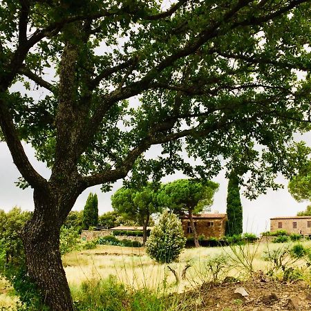 Nocini Di Maremma Βίλα Tatti Εξωτερικό φωτογραφία