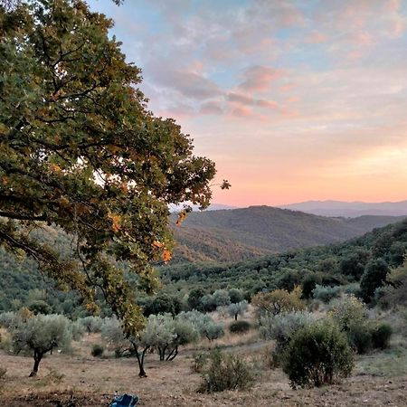 Nocini Di Maremma Βίλα Tatti Εξωτερικό φωτογραφία