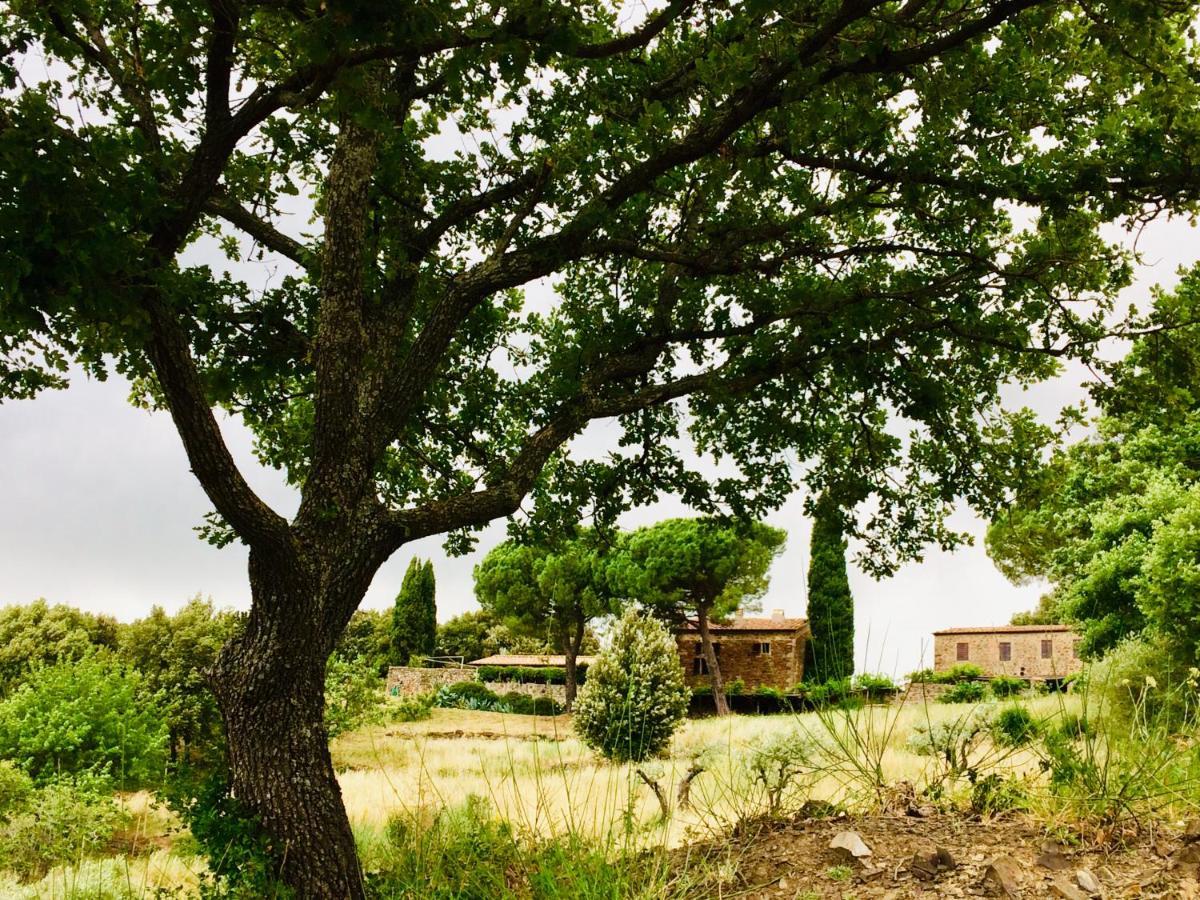 Nocini Di Maremma Βίλα Tatti Εξωτερικό φωτογραφία