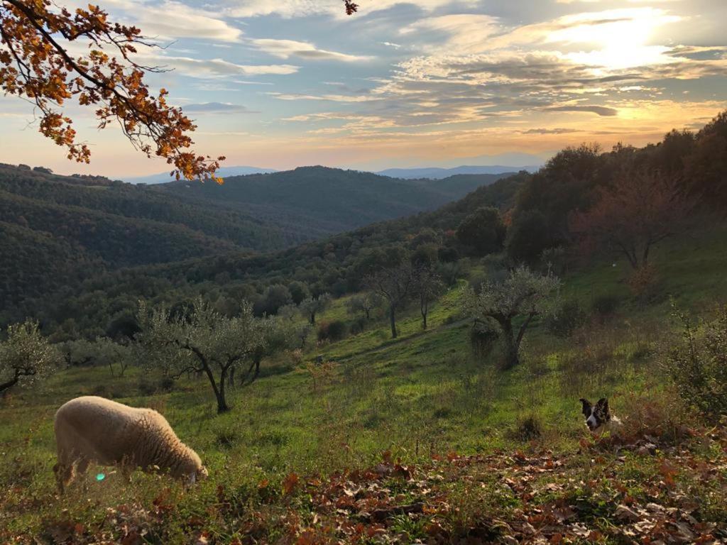 Nocini Di Maremma Βίλα Tatti Εξωτερικό φωτογραφία