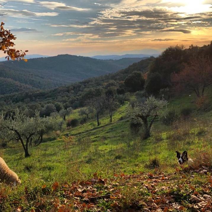 Nocini Di Maremma Βίλα Tatti Εξωτερικό φωτογραφία