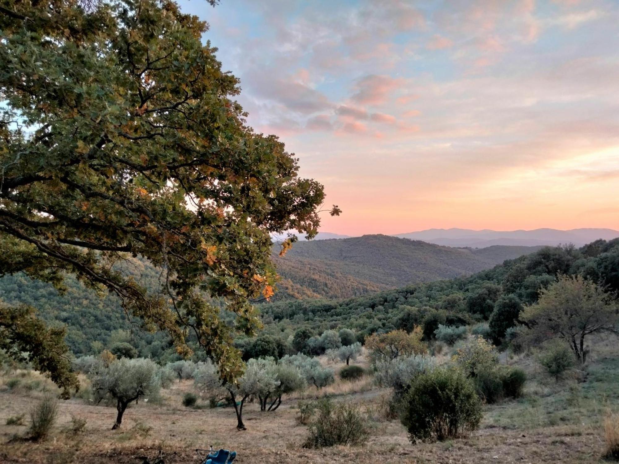 Nocini Di Maremma Βίλα Tatti Εξωτερικό φωτογραφία