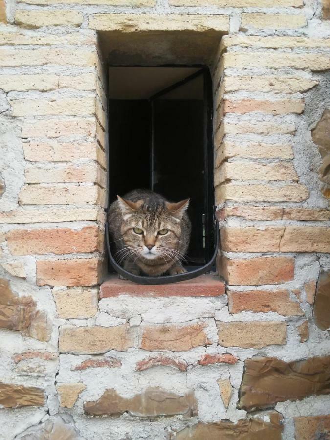 Nocini Di Maremma Βίλα Tatti Εξωτερικό φωτογραφία